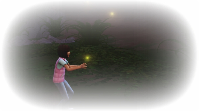 Sage Child catches fireflies